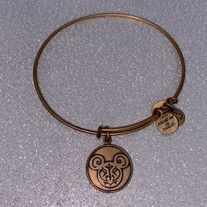 Disney Alex and Ani
